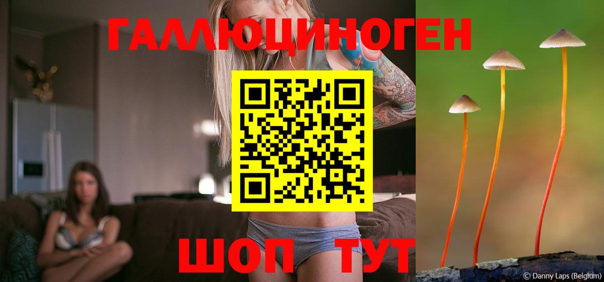 Псилоцибиновые грибы Psilocybe  Вход с VPN  Новоалтайск 